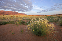 Namibia Overview